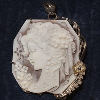 Cammeo Amelia (Masater Artistic)