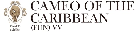Stone Castle Cameo Institute